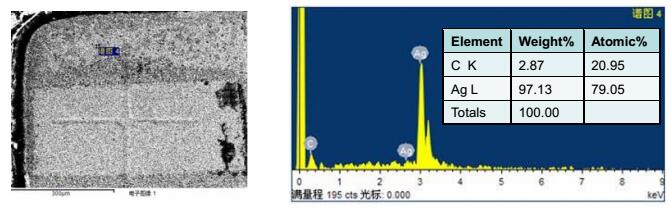 進行EDX分析，確認支架本身不含硫
